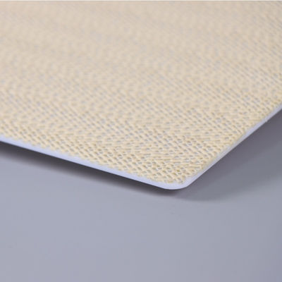 Polystyrene Non Skid Backing Cleanroom Sticky Mat Mold Mildew Resistant